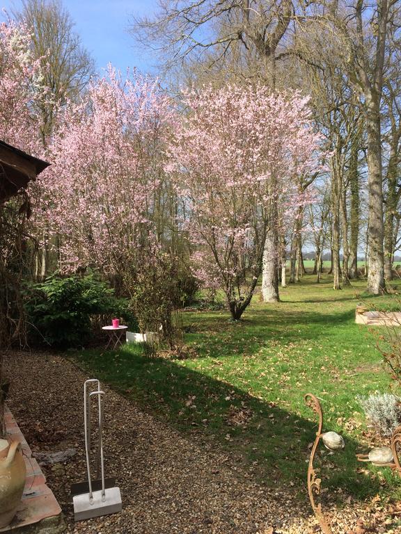 Logis De La Paqueraie Bed & Breakfast Saint-Branchs Luaran gambar