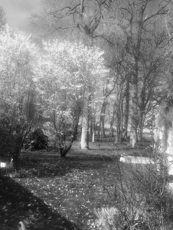 Logis De La Paqueraie Bed & Breakfast Saint-Branchs Luaran gambar